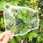 Selenite specimen