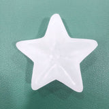 Star selenite crystal charging bowl